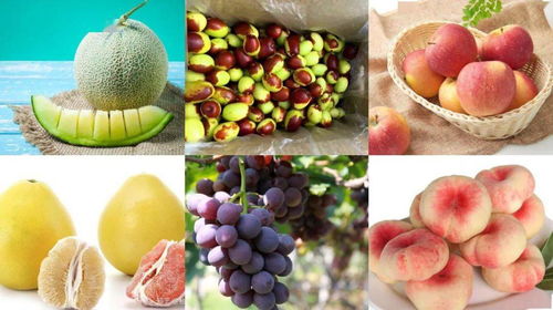 舌尖上的异乡 网红零食跨洋来袭，纽约华人解馋指南